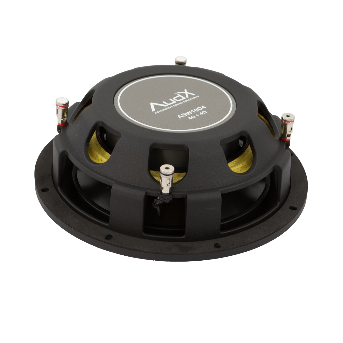 AudX ASW10D4 Subwoofer angle rear view