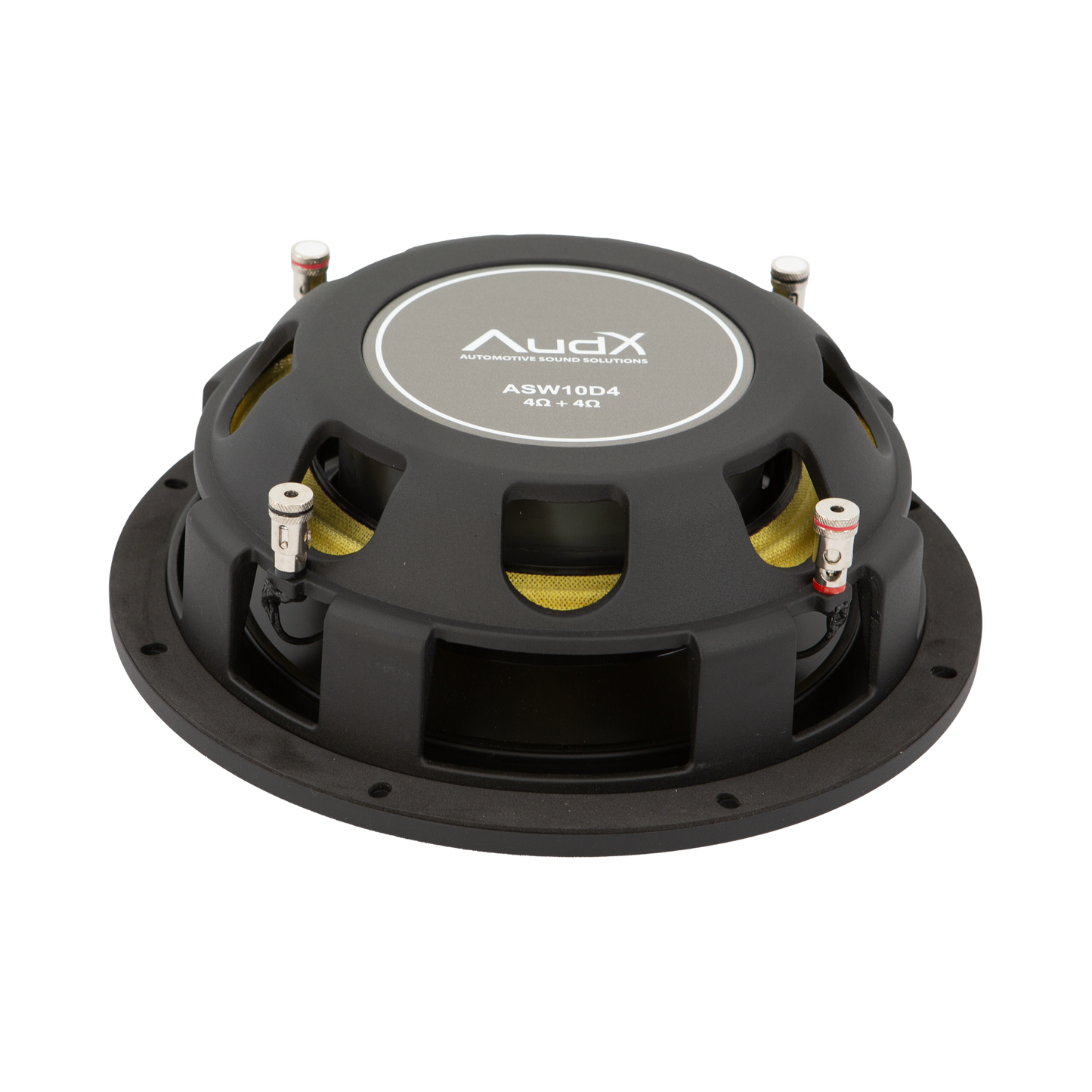 AudX ASW10D4 Subwoofer rear view
