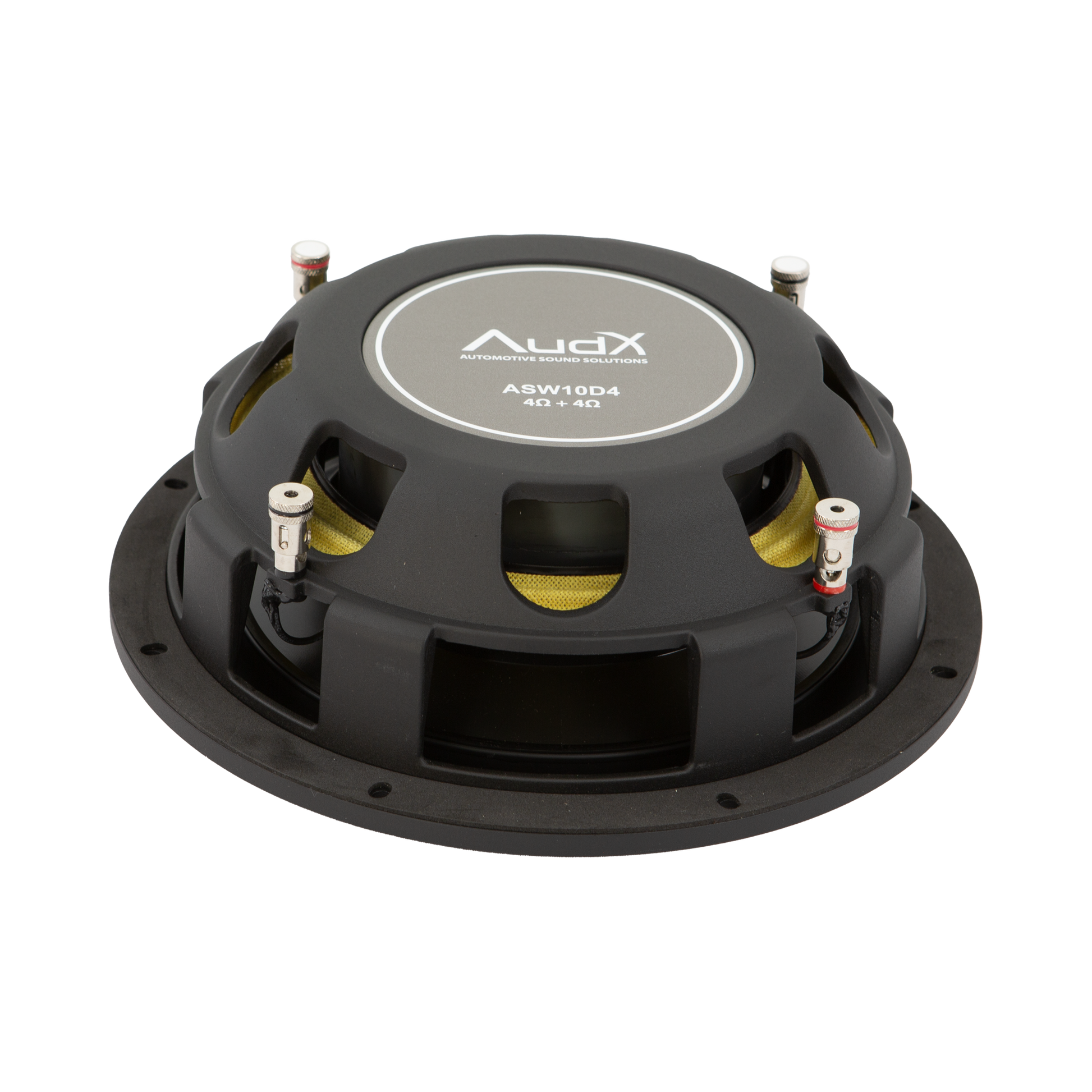 AudX ASW10D4 Subwoofer rear view